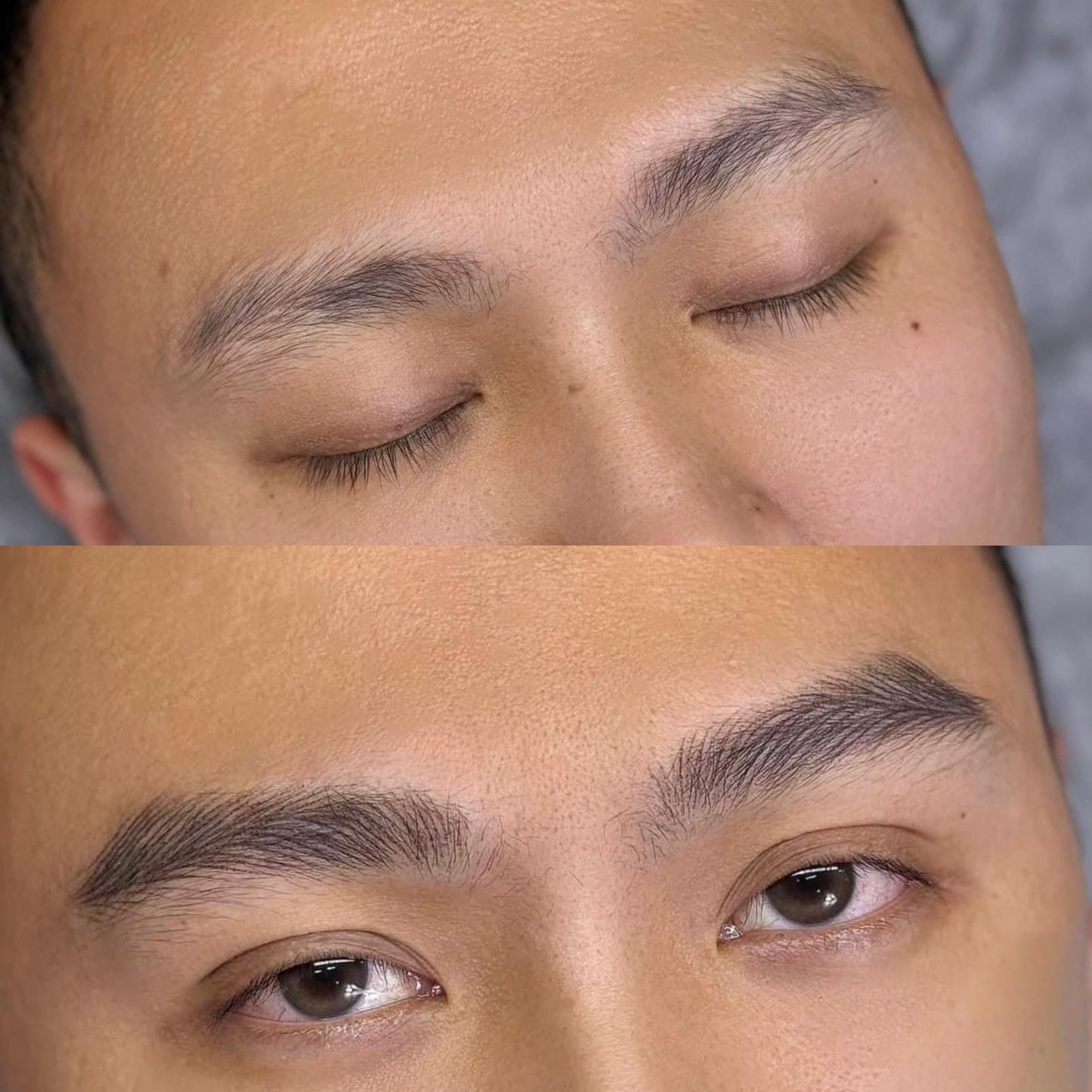 The Alpha Brows - Lông Mày Sư Tử