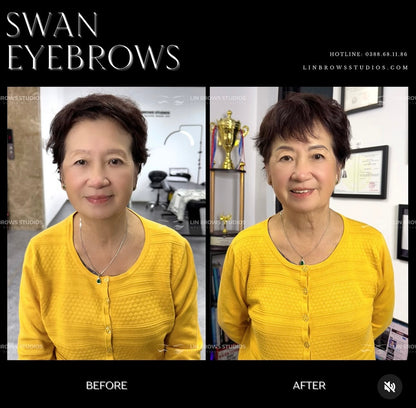 Swan Eyebrows