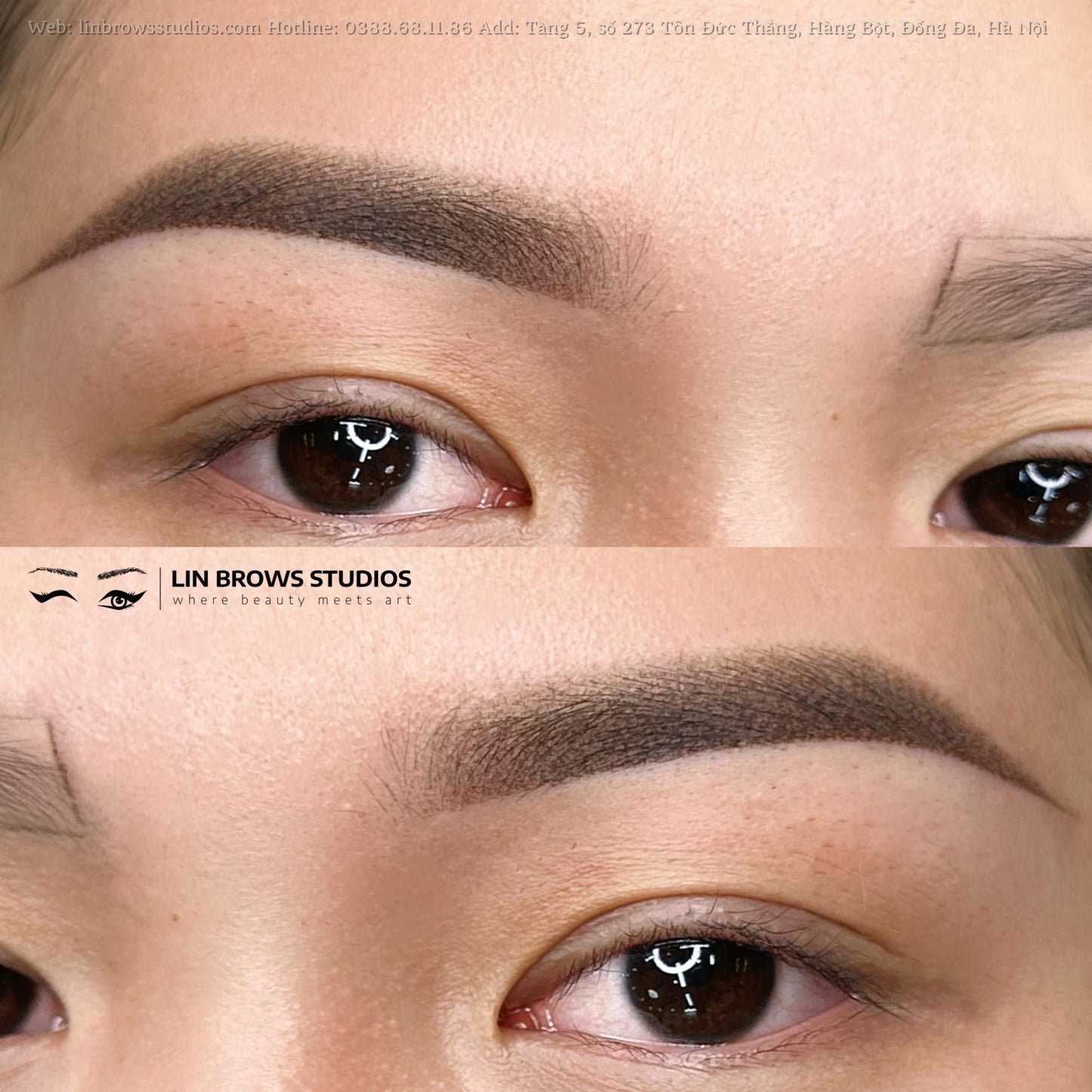 Swan Eyebrows - Lông Mày Thiên Nga