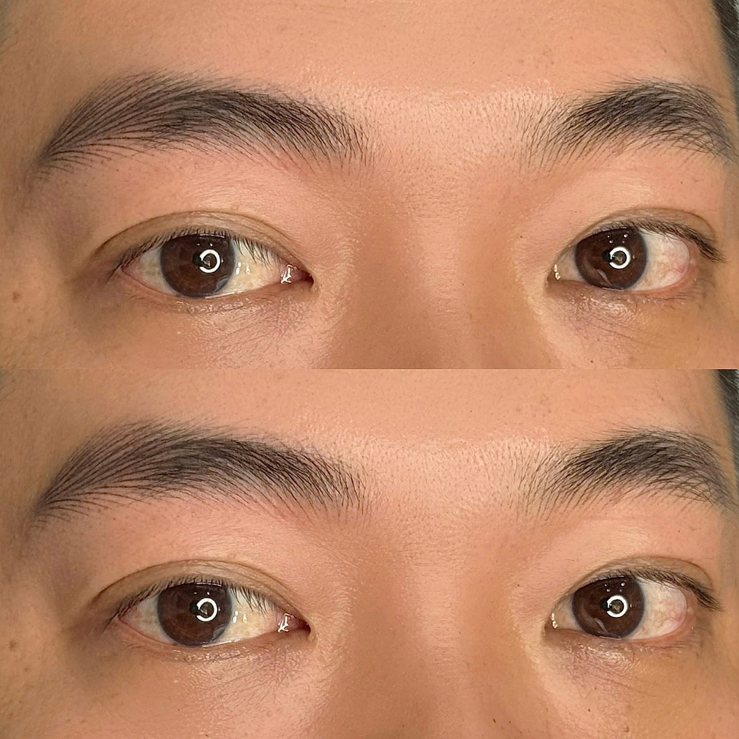 The Alpha Brows - Lông Mày Sư Tử