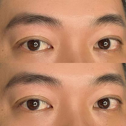 The Alpha Brows - Lông Mày Sư Tử