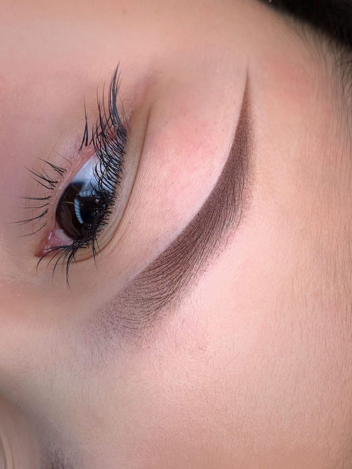 Flamingo Eyebrows - Lông Mày Hồng Hạc