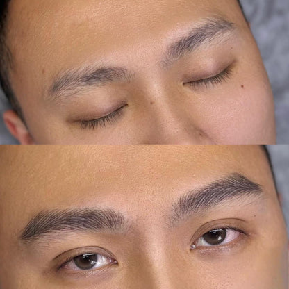 The Alpha Brows - Lông Mày Sư Tử