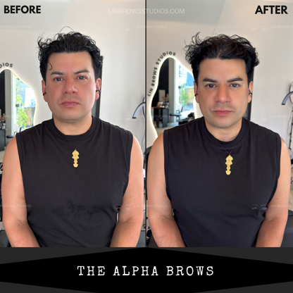 The Alpha Brows - Lông Mày Sư Tử