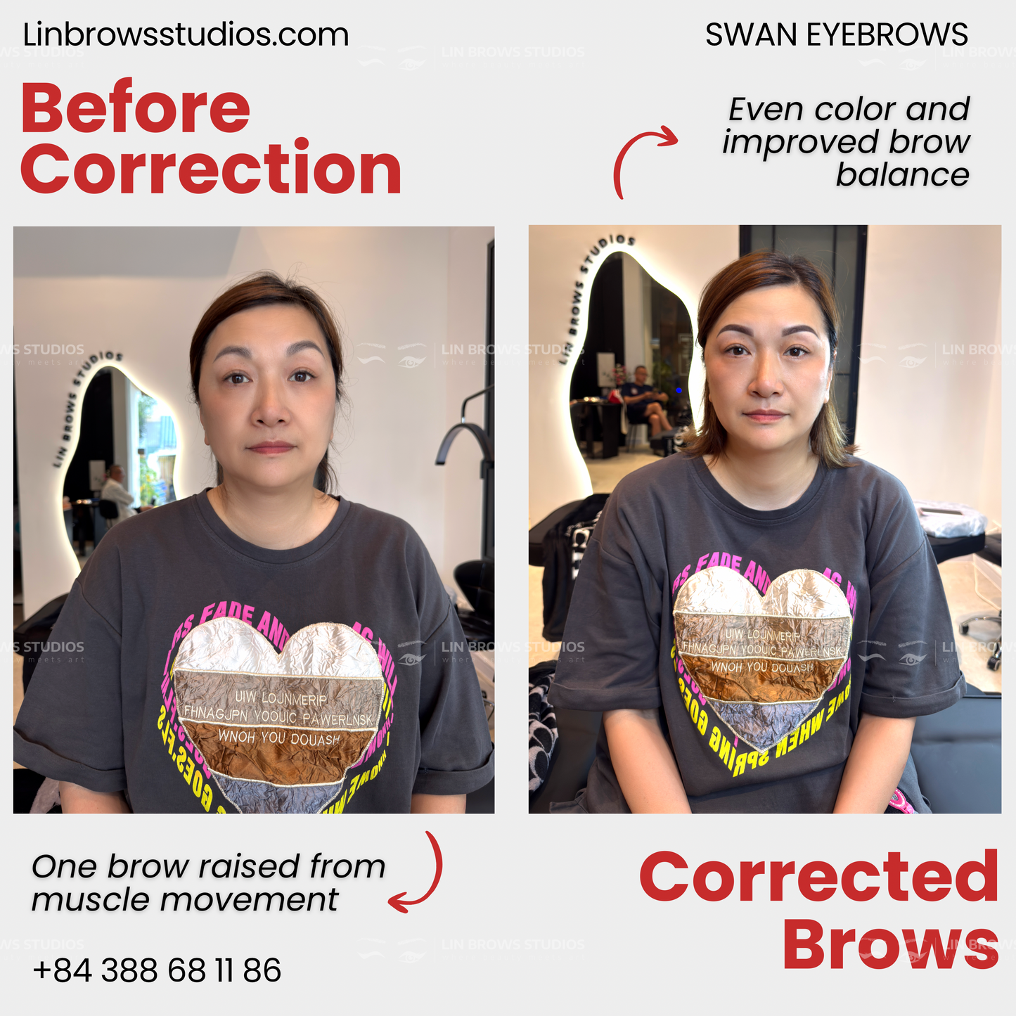 Swan Eyebrows - Lông Mày Thiên Nga