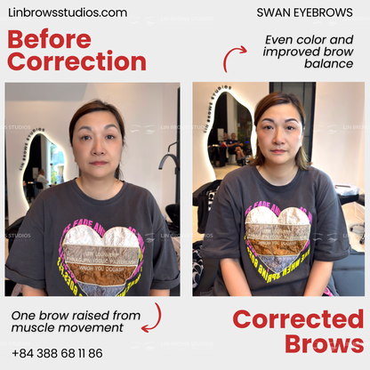 Swan Eyebrows - Lông Mày Thiên Nga
