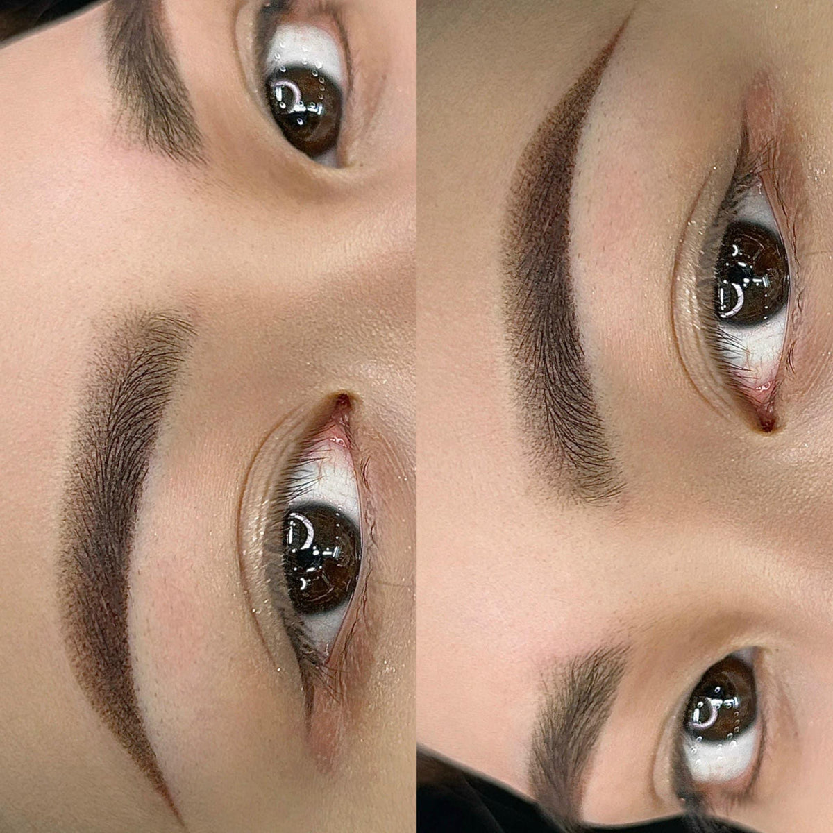 Swan Eyebrows - Lông Mày Thiên Nga