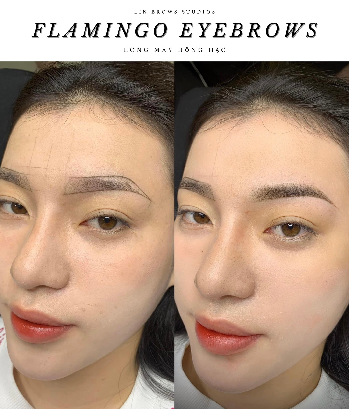 Flamingo Eyebrows - Lông Mày Hồng Hạc