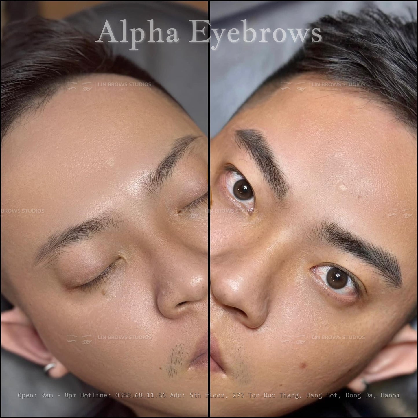 The Alpha Brows - Lông Mày Sư Tử