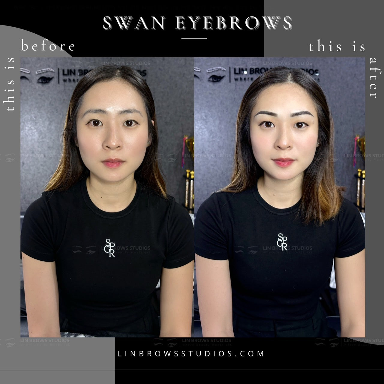 Swan Eyebrows