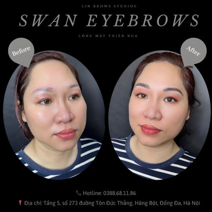 Swan Eyebrows - Lông Mày Thiên Nga