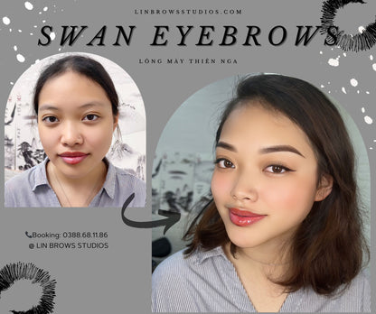 Swan Eyebrows