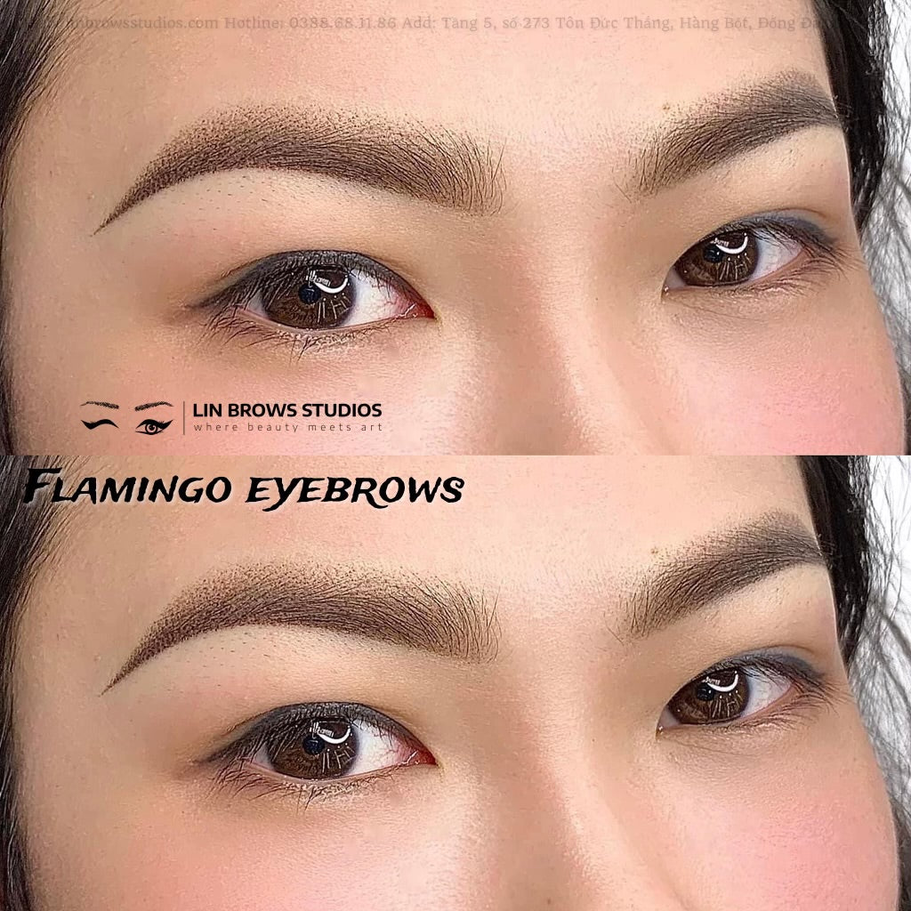 Flamingo Eyebrows - Lông Mày Hồng Hạc