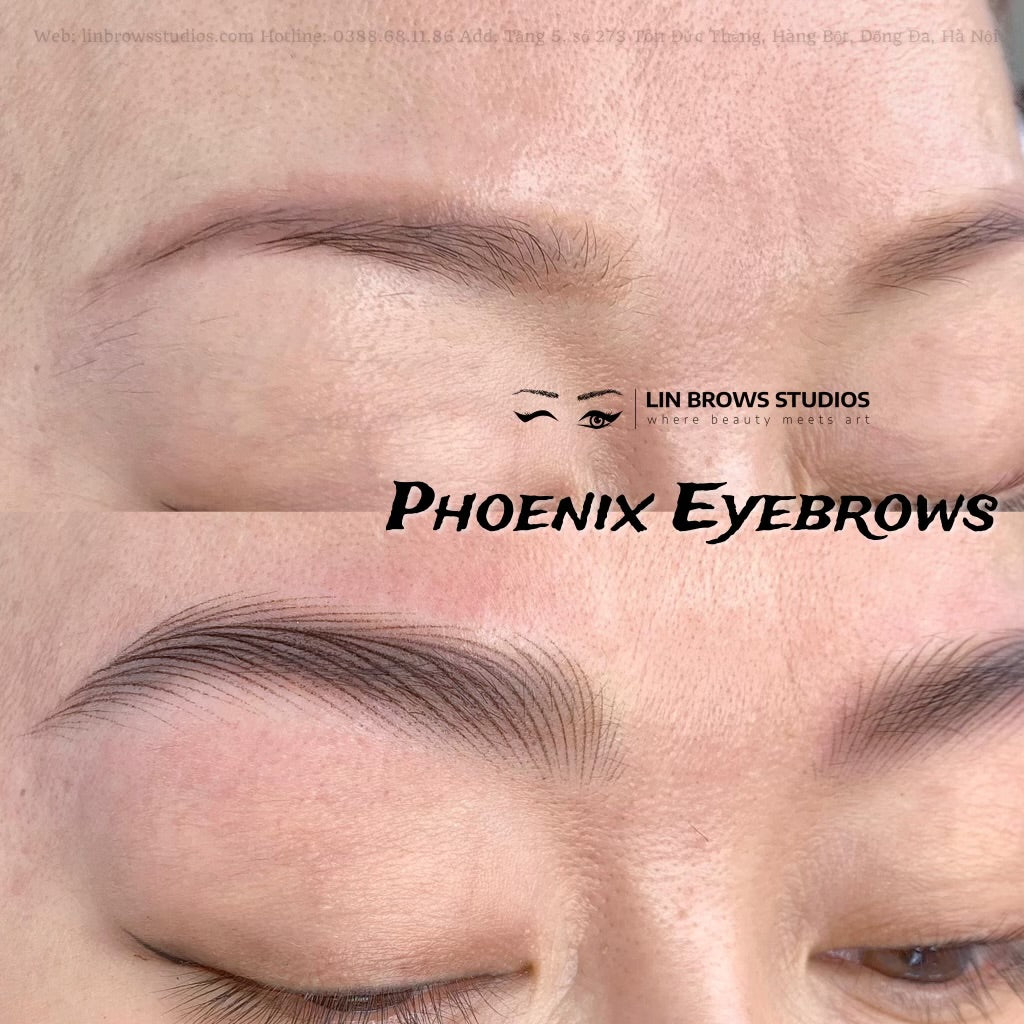 Phoenix Eyebrows - Lông Mày Phượng Hoàng