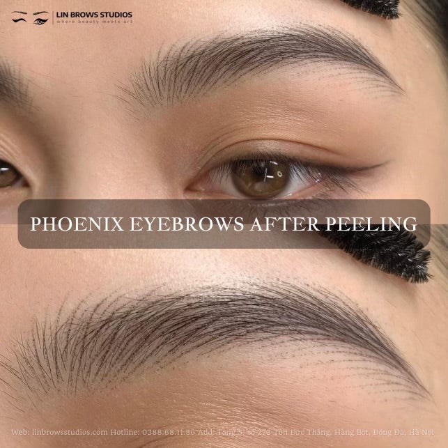 Phoenix Eyebrows (Female)