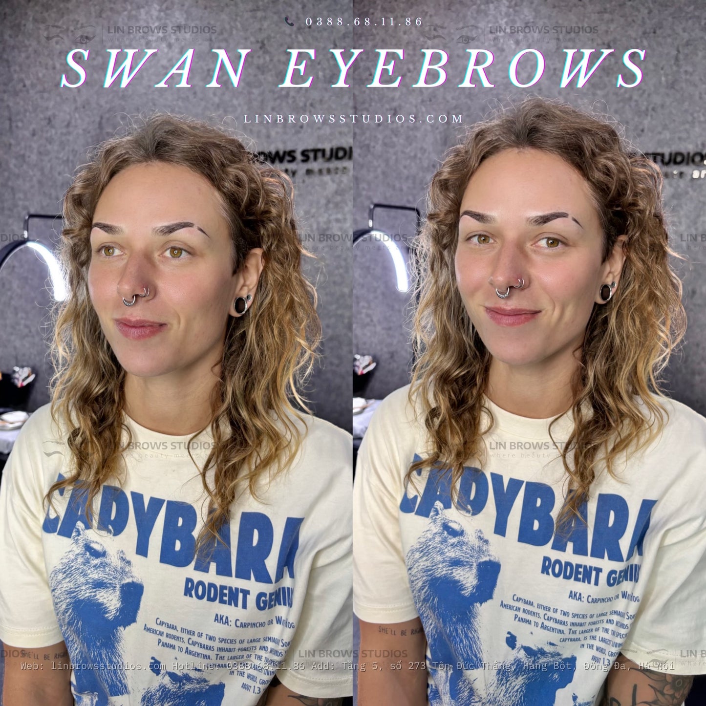 Swan Eyebrows - Lông Mày Thiên Nga