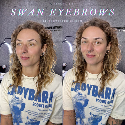 Swan Eyebrows