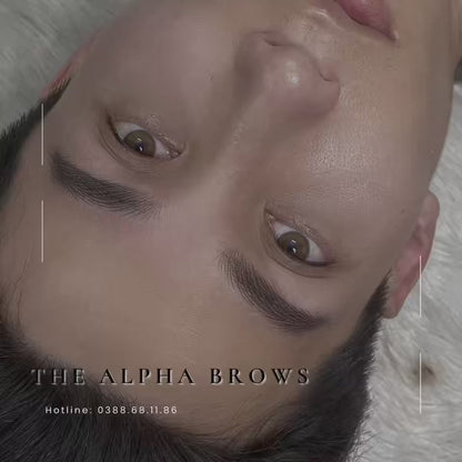 The Alpha Brows - Lông Mày Sư Tử